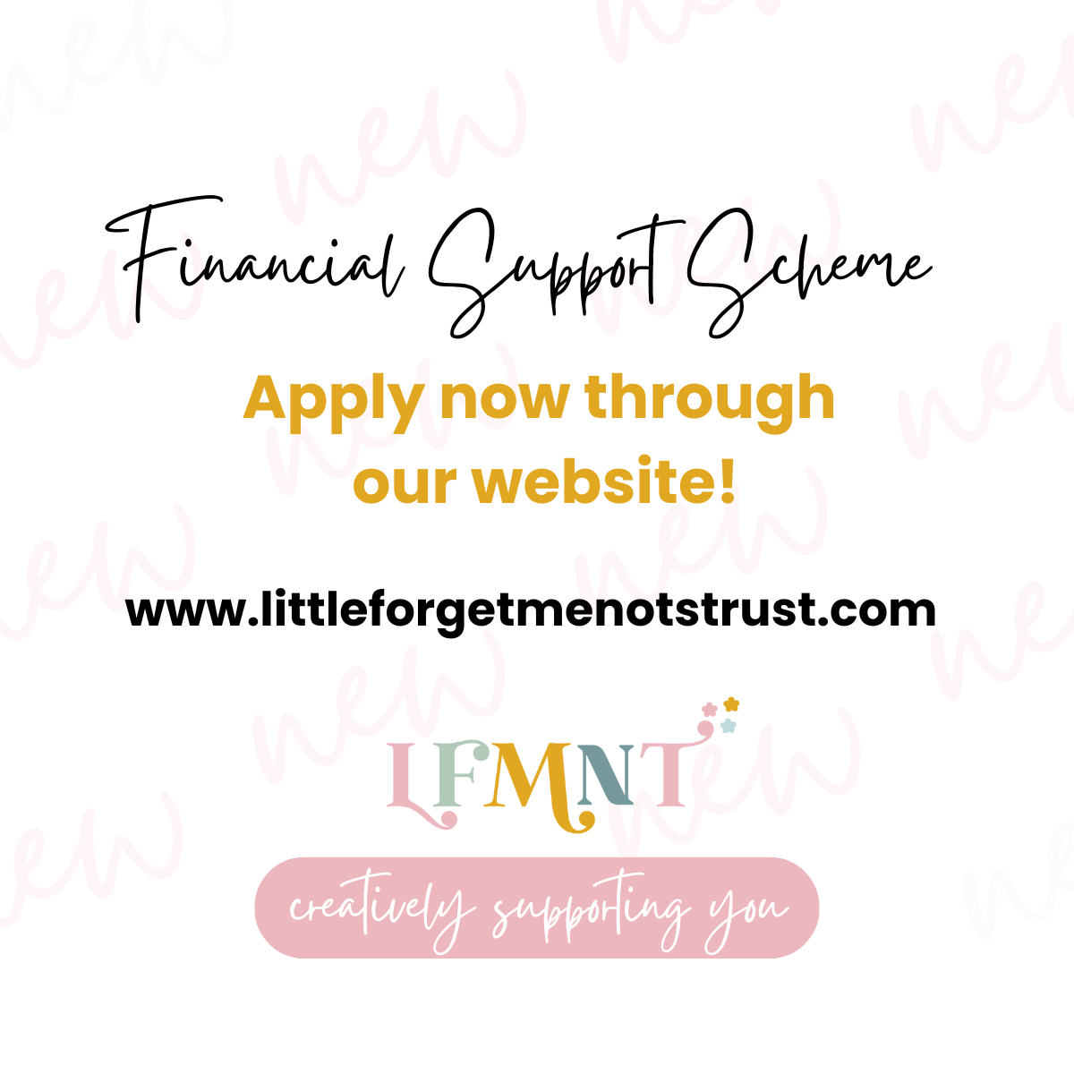 New Financial Support Scheme - Please Fill Out The Application Form